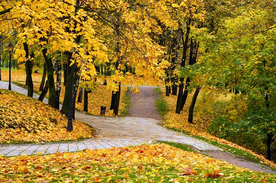 autumn-park-1751391_960_720