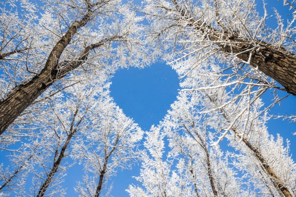depositphotos_24286879-stock-photo-winter-landscapebranches-form-a-heart
